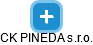 CK PINEDA s.r.o. - náhled vizuálního zobrazení vztahů obchodního rejstříku