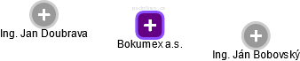 Bokumex a.s. - náhled vizuálního zobrazení vztahů obchodního rejstříku
