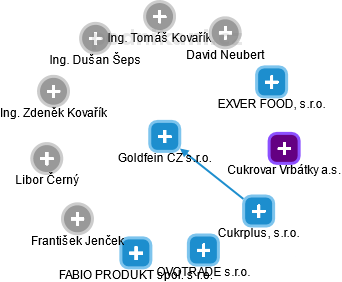 Goldfein CZ s.r.o. - náhled vizuálního zobrazení vztahů obchodního rejstříku