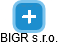 BIGR s.r.o. - náhled vizuálního zobrazení vztahů obchodního rejstříku