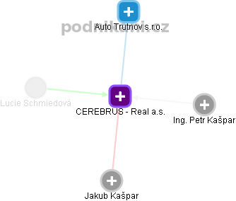 CEREBRUS - Real a.s. - náhled vizuálního zobrazení vztahů obchodního rejstříku