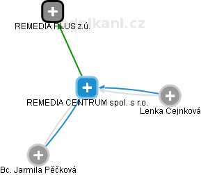 REMEDIA CENTRUM spol. s r.o. - náhled vizuálního zobrazení vztahů obchodního rejstříku