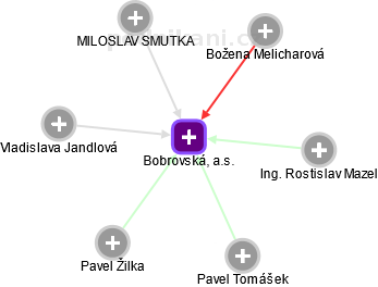 Bobrovská, a.s. - náhled vizuálního zobrazení vztahů obchodního rejstříku