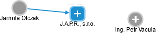 J.A.P.R., s.r.o. - náhled vizuálního zobrazení vztahů obchodního rejstříku
