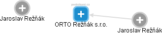 ORTO Režňák s.r.o. - náhled vizuálního zobrazení vztahů obchodního rejstříku