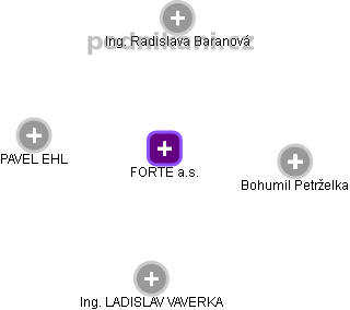 FORTE a.s. - náhled vizuálního zobrazení vztahů obchodního rejstříku