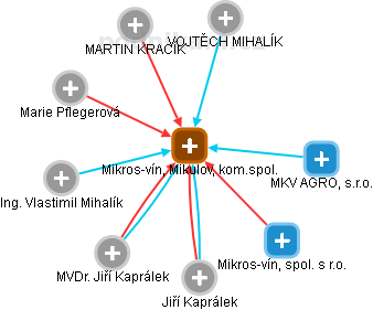 Mikros-vín, Mikulov, kom.spol. - náhled vizuálního zobrazení vztahů obchodního rejstříku