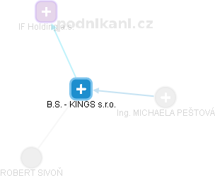 B.S. - KINGS s.r.o. - náhled vizuálního zobrazení vztahů obchodního rejstříku