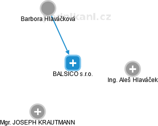 BALSICO s.r.o. - náhled vizuálního zobrazení vztahů obchodního rejstříku