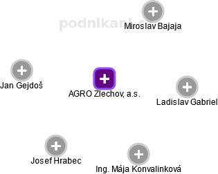 AGRO Zlechov, a.s. - náhled vizuálního zobrazení vztahů obchodního rejstříku