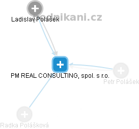 PM REAL CONSULTING, spol. s r.o. - náhled vizuálního zobrazení vztahů obchodního rejstříku