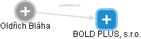 BOLD PLUS, s.r.o. - náhled vizuálního zobrazení vztahů obchodního rejstříku