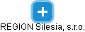 REGION Silesia, s.r.o. - náhled vizuálního zobrazení vztahů obchodního rejstříku
