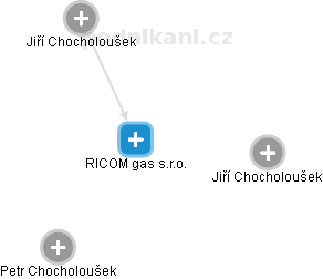 RICOM gas s.r.o. - náhled vizuálního zobrazení vztahů obchodního rejstříku