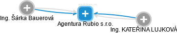 Agentura Rubio s.r.o. - náhled vizuálního zobrazení vztahů obchodního rejstříku