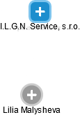 I.L.G.N. Service, s.r.o. - náhled vizuálního zobrazení vztahů obchodního rejstříku