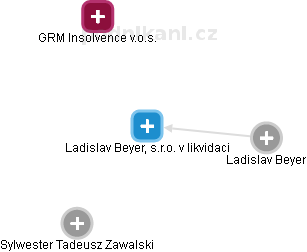 Ladislav Beyer, s.r.o. v likvidaci - náhled vizuálního zobrazení vztahů obchodního rejstříku