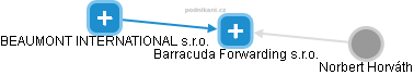 Barracuda Forwarding s.r.o. - náhled vizuálního zobrazení vztahů obchodního rejstříku