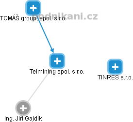Telmining spol. s r.o. - náhled vizuálního zobrazení vztahů obchodního rejstříku