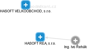 HASOFT REAL, s.r.o. - náhled vizuálního zobrazení vztahů obchodního rejstříku