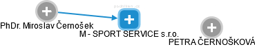 M - SPORT SERVICE s.r.o. - náhled vizuálního zobrazení vztahů obchodního rejstříku