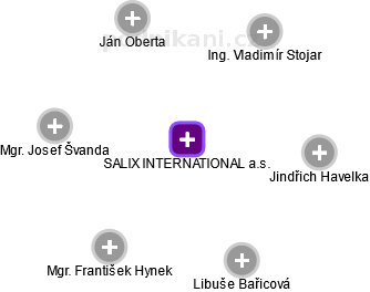 SALIX INTERNATIONAL a.s. - náhled vizuálního zobrazení vztahů obchodního rejstříku