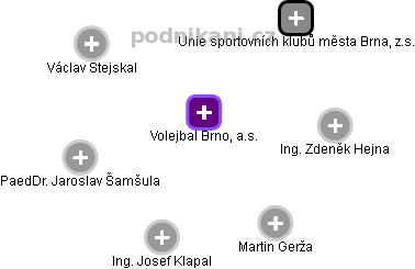 Volejbal Brno, a.s. - náhled vizuálního zobrazení vztahů obchodního rejstříku