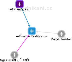 e-Finance Reality, s.r.o. - náhled vizuálního zobrazení vztahů obchodního rejstříku