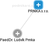 PRNKA s.r.o. - náhled vizuálního zobrazení vztahů obchodního rejstříku