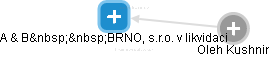 A & B  BRNO, s.r.o. v likvidaci - náhled vizuálního zobrazení vztahů obchodního rejstříku