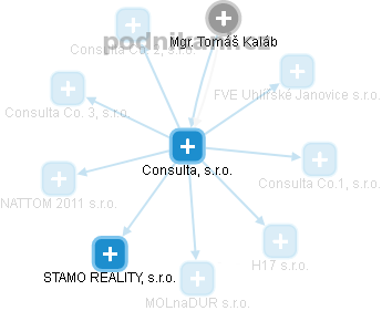 Consulta, s.r.o. - náhled vizuálního zobrazení vztahů obchodního rejstříku