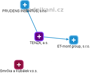 TENZA, a.s. - náhled vizuálního zobrazení vztahů obchodního rejstříku