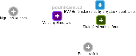 Veletrhy Brno, a.s. - náhled vizuálního zobrazení vztahů obchodního rejstříku