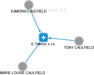 E-Tronics s.r.o. - náhled vizuálního zobrazení vztahů obchodního rejstříku