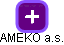 AMEKO a.s. - náhled vizuálního zobrazení vztahů obchodního rejstříku