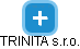 TRINITA s.r.o. - náhled vizuálního zobrazení vztahů obchodního rejstříku