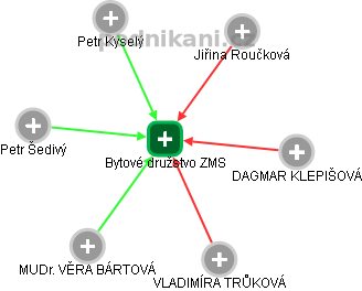 Bytové družstvo ZMS - náhled vizuálního zobrazení vztahů obchodního rejstříku