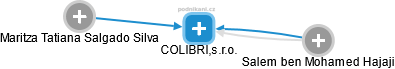 COLIBRI,s.r.o. - náhled vizuálního zobrazení vztahů obchodního rejstříku