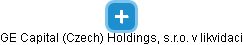 GE Capital (Czech) Holdings, s.r.o. v likvidaci - náhled vizuálního zobrazení vztahů obchodního rejstříku