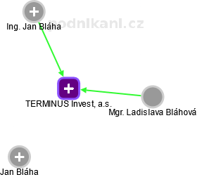 TERMINUS Invest, a.s. - náhled vizuálního zobrazení vztahů obchodního rejstříku