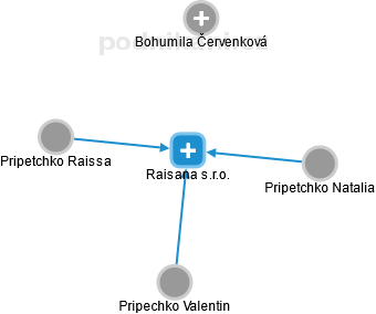 Raisana s.r.o. - náhled vizuálního zobrazení vztahů obchodního rejstříku