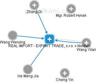 REAL IMPORT - EXPORT TRADE, s.r.o. v likvidaci - náhled vizuálního zobrazení vztahů obchodního rejstříku