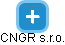 CNGR s.r.o. - náhled vizuálního zobrazení vztahů obchodního rejstříku