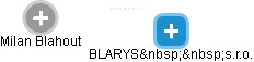 BLARYS  s.r.o. - náhled vizuálního zobrazení vztahů obchodního rejstříku