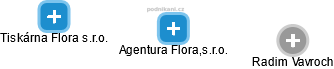 Agentura Flora,s.r.o. - náhled vizuálního zobrazení vztahů obchodního rejstříku