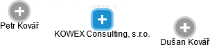 KOWEX Consulting, s.r.o. - náhled vizuálního zobrazení vztahů obchodního rejstříku