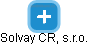 Solvay CR, s.r.o. - náhled vizuálního zobrazení vztahů obchodního rejstříku