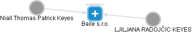 Baile s.r.o. - náhled vizuálního zobrazení vztahů obchodního rejstříku
