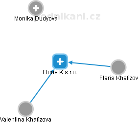 Floris K s.r.o. - náhled vizuálního zobrazení vztahů obchodního rejstříku