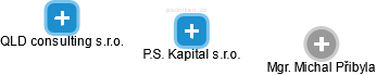 P.S. Kapital s.r.o. - náhled vizuálního zobrazení vztahů obchodního rejstříku